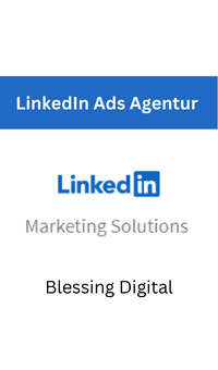LinkedIn Ads Agentur Blessing Digital 1